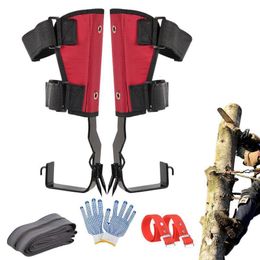 Climbing Harnesses Tree Climbing Gear Set Tree Climbing Gear With Belt Tree Climbing Spikes Adjustable Climbing Spikes For Hunting Fruit Picking 230921