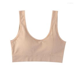 Yoga Outfit Women Sexy Crop Tops Fixed Cup Female Sleeveless Vest Seamless Sports Fitness Running Lingerie Bra Top Comfort