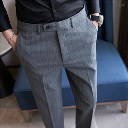 Men's Suits Grey Striped Suit Pants Small Elastic Slim Trousers Spring And Autumn Navy Blue Pantalones Hombre 28-31 32 33 34 36 38