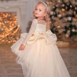 Girl Dresses Fluffy Sparkly Flower Dress Beaded Lace Long Sleeve Wedding Cute Child's First Eucharistic Birthday Party