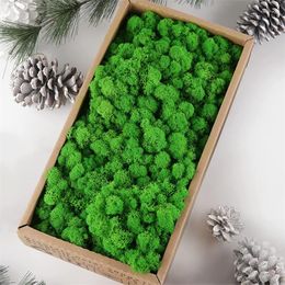 Decorative Flowers 500g Preserved Reindeer Craft Moss Natural Green DIY Kit Terrariums Gardenning Art Wall Florist Easter Table Decor