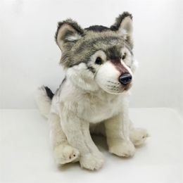 Plush Dolls Coyote Anime Cute Gray Wolf Plushie Dog Plush Toys Lifelike Animals Simulation Stuffed Doll Kawai Toy Gifts Kids 230921