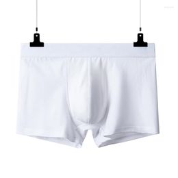 Underpants 2pcs Pure Cotton Man Boxers Underwear Comfortable Breathable Undershorts Bodysuit Men White Color L XL XXL XXXL 4XL