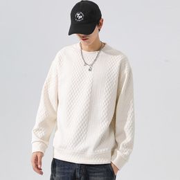 Men's Hoodies Crewneck Sweatshirt Long Sleeve Casual Pullover Harajuku Sweatshirts For Men Streetwear Spring And Autumn