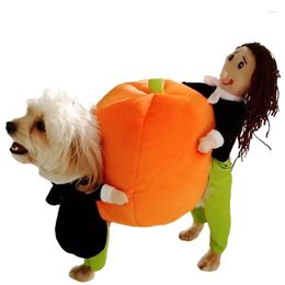 Cat Costumes Netizen Same Dog Personality Funny 3D Cartoon Thickened Cold Protection And Warmth Lifting Pumpkin Cute Clothes