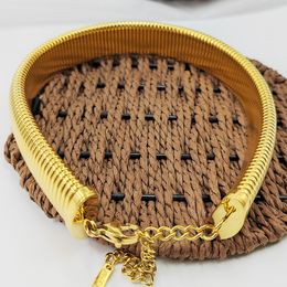 Chokers Punk Elastic Snake Bone Choke Circle Women's Fashion Gothic Hip Hop Stainless Steel Chain Collar Necklace Party Gift Jewelry 230921