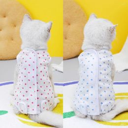 Cat Costumes Recovery Suit Neutering Bodysuit Wear Onesie For Abdominal Wound Or Skin Diseases E-Collar Alternative