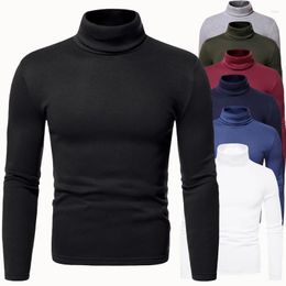 Men's Sweaters 2023 Fashion Casual Slim Fit Basic Turtleneck High Collar Pullover Male Autumn Spring Tops Bottoming Plain T-shirt