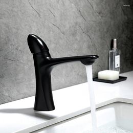 Bathroom Sink Faucets Modern Minimalist Design Black Baking Paint For Products Basin & Cold Water Mixing Washbasin Metal Tap