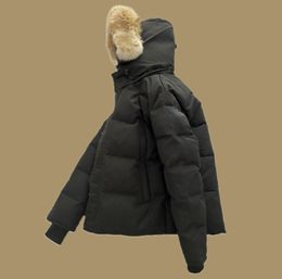 Canadá Puffer Jaquetas Masculinas Designer Real Coyote Fur Outdoor Wyndham Windbreaker Jassen Outerwear Com Capuz Fourrure Manteau Down Jacket Casaco Hiver Parka Doudoune