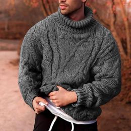 Men's Sweaters Twist Braid Knit Turtleneck Sweater Turtle Neck Solid Colour Men Pullover Winter Cotton Autumn Warm Jumper