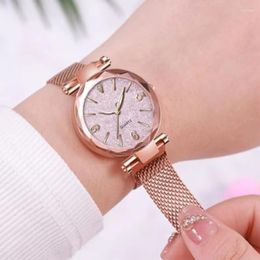 Wristwatches Star Watch Lady's Fashion Advanced Quartz Magnet Strap Silver Powder Noodle Pointer Luxury Leisure Business