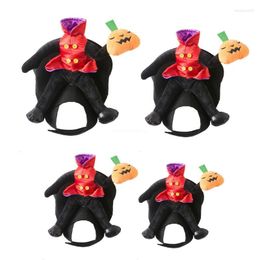 Cat Costumes Funny Headless Pumpkin Costume For Dogs Pet Halloween Holiday Accessories Dropship