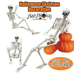 Other Event Party Supplies 258 Pcs Halloween Skeleton Movable Posable Joints Realistic Human Bones Model Decor Haunted House Horror Prop 230923