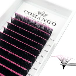 False Eyelashes Coloured Lash Extensions CD Curl Easy Fan Volume Lashes Ombre Pink Green Blue Purple Lashes 814mm Mixed Eyelash Extension 230922