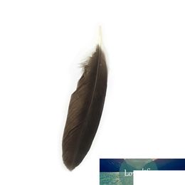 Craft Tools Holesale 10 Rare Natural Eagle Feathers 40-45 Cm/16-18 Decoration Celebration Performance Accessories Inches Jewellery Diy Dhbcj