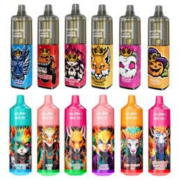 Original VAPME KING 12K 12000 Puffs Disposable Vape Pen VS FIRE 9000 PUFFS Cigarettes 650 mAh Battery Mesh Coil 20ml Prefilled Pod Big Vapor Kit 18 Flavors