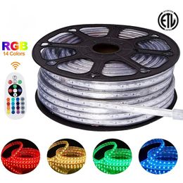 220V 110V LED Strip Light 150ft SMD2835 5050 120leds/m 60led/m flex Rope Light IP65 Warm White RGB Neon Decoration Indoor LL