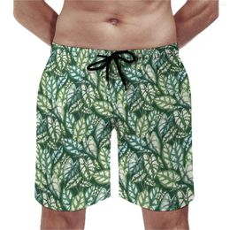 Men's Shorts Board Green Plant Retro Swimming Trunks Tropical Leaves Male Quick Drying Surfing Plus Size Beach