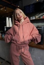 Women's Two Piece Pants 2024 Autumn Winter Women Fleece Suit Solid Warm Loose Fit Clothing Hooded Long Sleeved Running Sweater Outside High