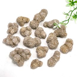 Aquariums Natural Mexico Desert Rose Irregular Tumbled Stone Reiki Healing Crystal Quartz Aquarium Mineral Gemstone Home Decor Specimen 230923