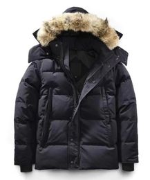 24SS Kanada Küfür Ceketler Erkekler Tasarımcı Gerçek Coyote Kürk Dış Mekan Wyndham Windbreaker Jassen Dış Giyim Kapüşonlu Fourrure Mantau Down Coat Hiver Top