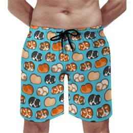 Men's Shorts Guinea Pig Print Board Summer Cute Animal Surfing Beach Short Pants Fast Dry Funny Design Plus Size Swim Trunks
