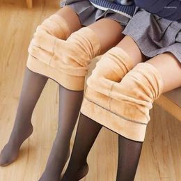 Women's Leggings D.Nale K Elastic Women Thick Warm All-Match Warmth Bottoms Pantyhose Transparent Female Streetwear