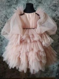 Girl Dresses Lovely Pink Baby Dress With Long Puff Sleeve O Neck Infant Tutu Outfit Kid First Birthday Christmas Gift 12M 24M