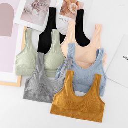 Camisoles & Tanks Women's Sexy Tube Top Seamless Sports Tank Wireless Underwear Padded Bra Bralette Vest Deep U-neck Camisole For Everyday