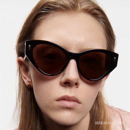 Sunglasses Retro Cat's Eye Fashion Versatile Network Showcase UV400 Glasses