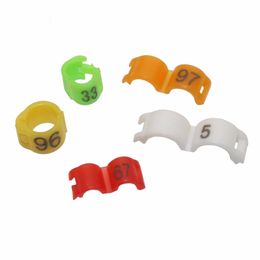 Other Bird Supplies Colorful NO1100 clip ring Parrot foot 27mm m 4mm 45mm 5mm Identification tool Canary Acacia birds 230923