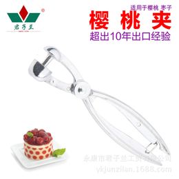 Straight Cherry Pit Remover Kitchen Tool Aluminum Alloy Remover for Red Dates and Olive Cherries