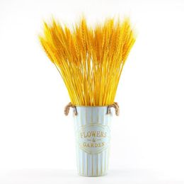 Wholesale Golden 100 PCS Dried Wheat Stalks Golden Wheat Sheaves Natural Wheat Ears Flowers Bouquet for Home Party Wedding Decor