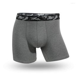 Underpants 3pcs/lot Cotton Sport Men's Boxers Plus Size L-6XL Panties Man Boxershorts Lingerie Male Running Fitness Calzoncillos