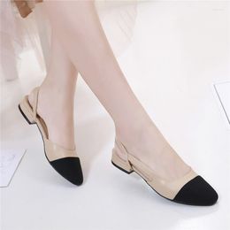 Dress Shoes 2023Spring Autumn Fashion High Heels Sandals Women's Square Toe Slingback Colour Block Back With Flat
