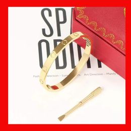 Dapu Bracelet Steel Screw Screwdriver Bracelets Gold Silver Rose Nail Bracelet Jewelry with Velvet Bag