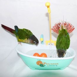 Other Pet Supplies Parrot Automatic Bathtub Bird Shower Bathing Tub Feeder Bowl for Small Medium Parakeet Lovebird 230923