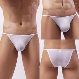 Underpants Erotic Mini Thong Men Sexy Panties Low Waist T-Back Underwear Bikini Briefs Ultra Thin Lingerie Hombre