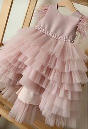 Girl Dresses Pink Tulle Puffy Baby Dress O Neck Infant Kid Tutu Outfit Birthday Christmas Gift For Girls