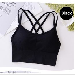 Yoga Outfit Fitness Sports Bra Women Shockproof Sexy High-Intensity Bralette Running Gym Vest Cotton Underwear Fashion Beauty Back