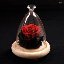 Bottles 2sets/pack Diamond Top Glass Dome Vase Home Decoration Three Legs Log Base Transparent Cover Friend Gift Wedding Live Prop