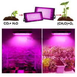 Grow Lights 50W 100W Full Spectrum LED Grow Lights With EU Plug And Switch IP65 Phyto Lamp for Greenhouse Hydroponic Plant Growth Lighting YQ230926