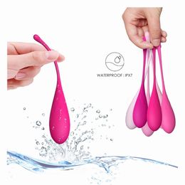 Vibrators 6pcsset Smart Kegel Ball Vaginal Dumbbells Ben Wa Balls Vibrator Egg Training Exercise Adult Sex Toys for woman 230925