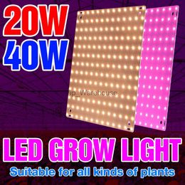 Grow Lights LED Plant Light 220V Full Spectrum Lamp 20W Grow Bulb 110V LED Greenhouse Hydroponic Lights 40W Quantum Board Phyto Growth Lamps YQ230926