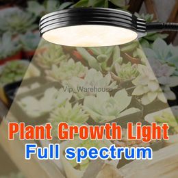 Grow Lights USB Phyto Lamp 5V LED Grow Light Full Spectrum Phytolamp For Plants Waterproof Hydroponic Seeds To Plant Growbox 15W 30W 45W 60W YQ230926
