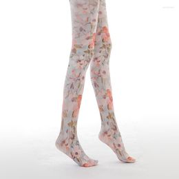 Women Socks Flower Painting Printed Pantyhose Wholesale And Drop