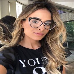 Cat Eye Glasses Frames Women Trending Styles Eyeglasses TR90 Optical Fashion Computer Glasses CY203257g