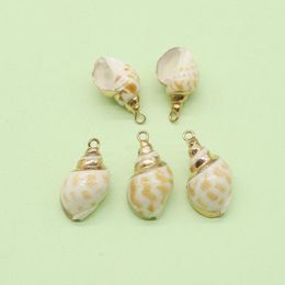 Pendant Necklaces Natural Conch Cowrie Shell Gold Colour Edge Charms For Jewellery Making DIY Necklace Anklets Fashion Accessories