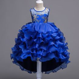 Girl's Dresses Embroidery Baby Girls Princess Flower Wedding Christmas Party Tutu Dress Children Kids Elegant Vestidos for 3-15Years Teenager 230925